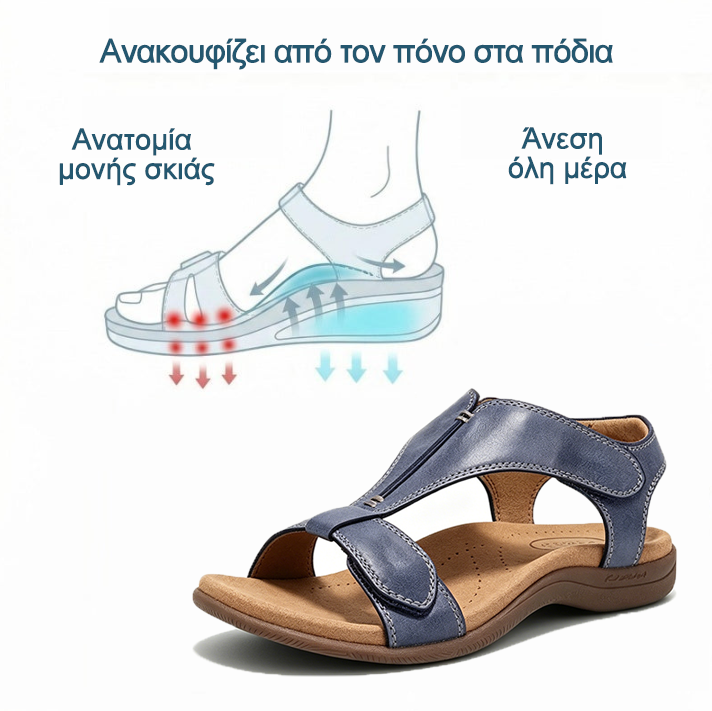 Ορθοπεδικά Παπούτσια Dimarkent® 【🔥Περιορισμένης Διάρκειας 50% Έκπτωση🎁】 Καλοκαιρινά Ορθοπεδικά Σανδάλια👡 | Εργονομικός Σχεδιασμός | Άνετα και Αναπνέοντα | Ανακουφίζει από την Κόπωση και τον Πόνο | Περπατήστε Εύκολα Όλη Μέρα✅